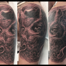 owlcoverup